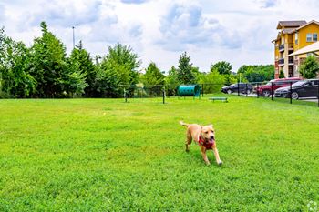 Private bark park